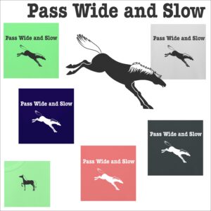 Pass Wide and Slow