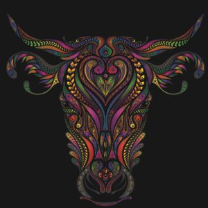 Colourful Bull Head