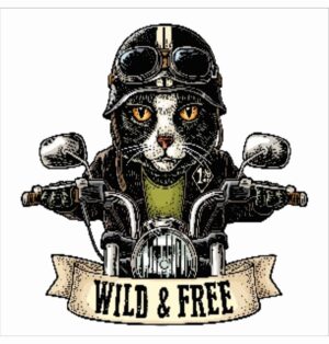 Wild and Free Biker Cat (Ladies comfort)