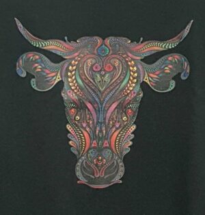 Colourful bull head