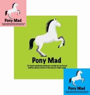 Pony Mad 1