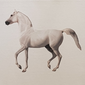 Vintage Horse painting